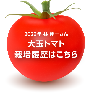 2020年 林伸一さん 大玉トマト栽培履歴はこちら