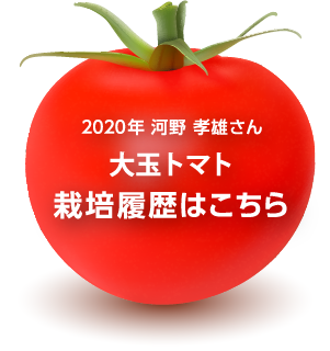 2020年 河野孝雄さん 大玉トマト栽培履歴はこちら